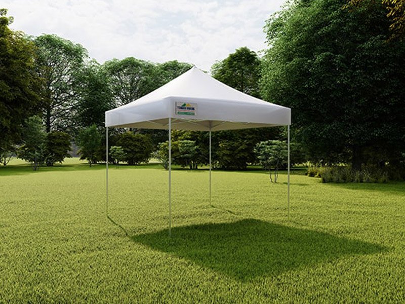 Tenda Sanfonada apresentação