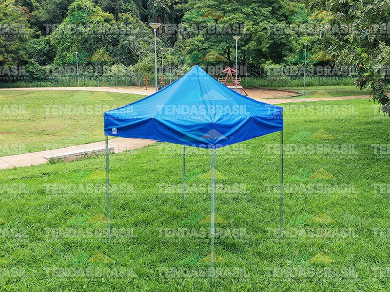 Tenda Sanfonada apresentação